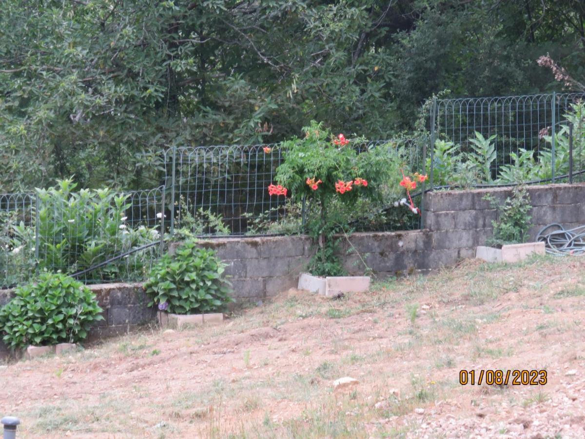 L'Altore Di Savaghju Vivario  Exterior foto